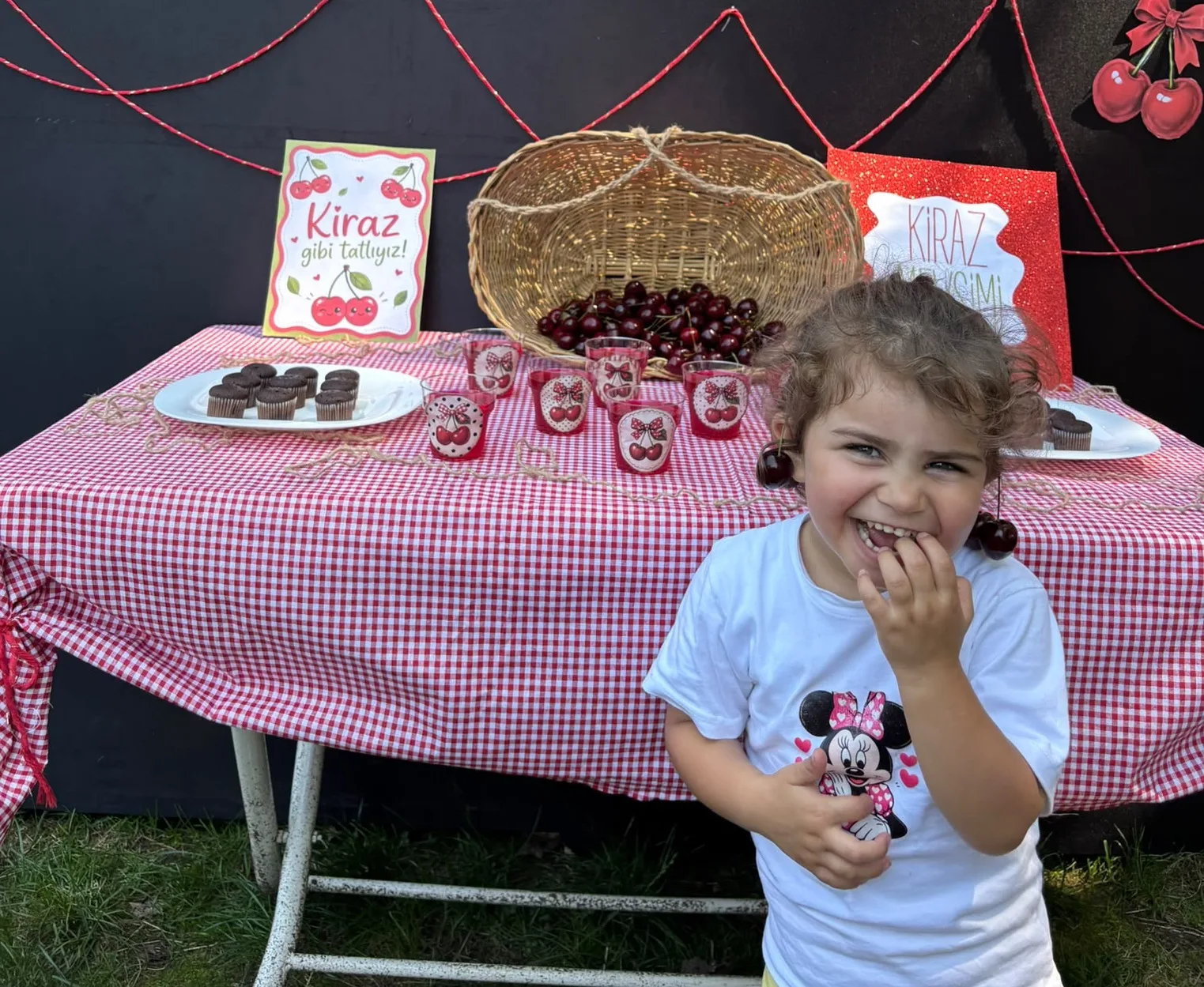 KİRAZ ŞENLİĞİ